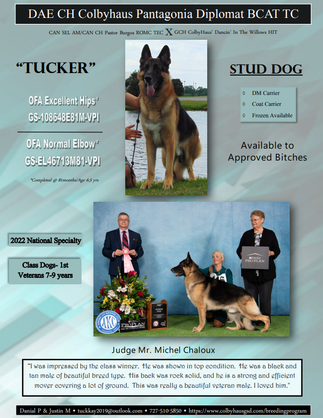 information on a german shepard dog called Tucker